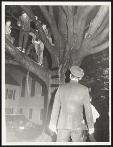 Randolph Police officer Checks Main St. tree for egg Snipers.