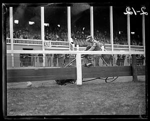 Horse down, harness racing