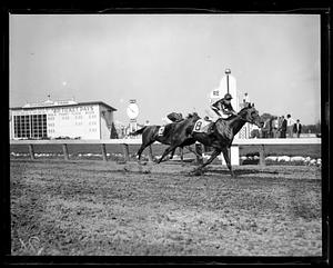 Horse race at Rockingham Park