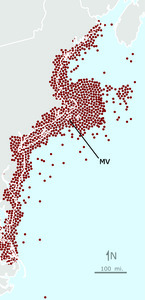 Whale Strandings along the Northeast coast