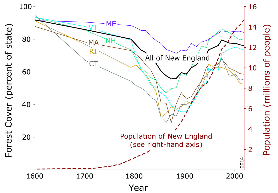New England Forest Decline and Recovery