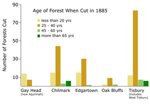 Forest Harvesting and Variation in the Late Nineteenth Century