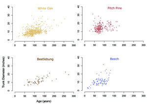 Major Tree Species Growth Rates, Size and Age