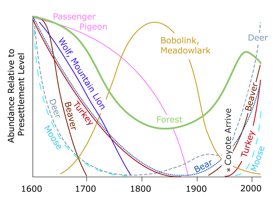 Changing Abundance of Wildlife Species