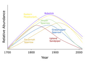 Grasslands Birds Through Time