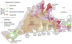 Water Quality of the Island's Watersheds