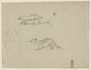 Horse and other animal studies; on verso, a thinking man, three head studies of man and a sketch of a woman