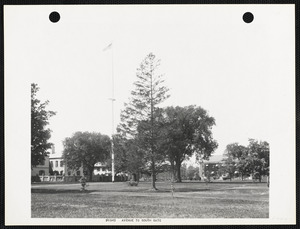 Avenue to south gate