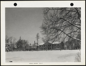 Arsenal grounds