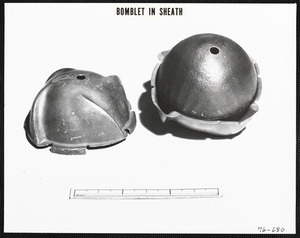 Bomblet in sheath