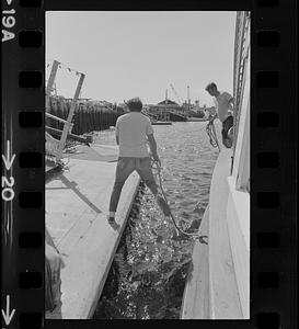 Steamship Sabino launch day