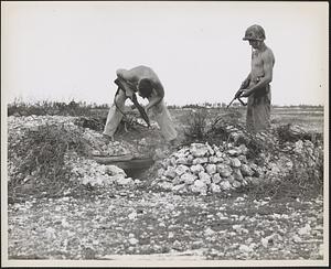 Two members of the famed First Marine Division investigate a Japanese pillbox on the southern end of the Peleliu airfield