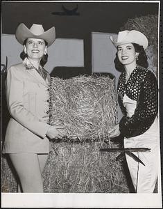 Jo Decker, Nancy Shepard