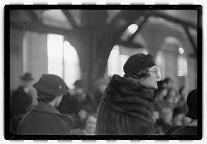 Dog show