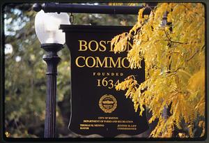 Boston 1998: Autumn leaves block the sign for the Boston Common