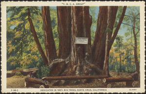 "Y.M.C.A. group" - dedicated in 1887, Big Trees, Santa Cruz, California