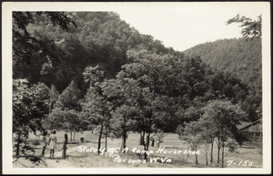 State YMCA Camp Horseshoe Parsons. W. Va