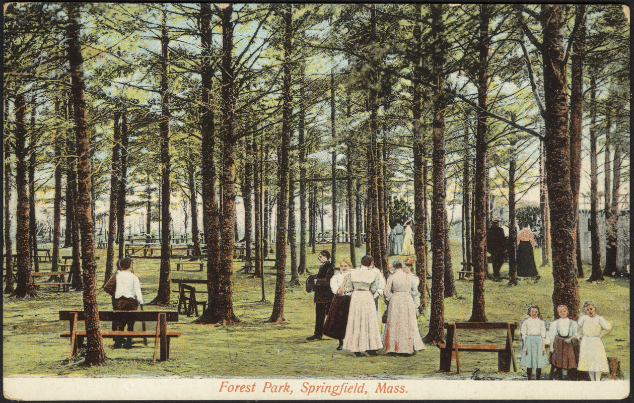 file-forest-park-springfield-mass-1900-1910-03-jpg-forest-park-park