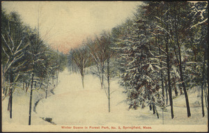 Winter scene in Forest Park, No. 2, Springfield, Mass.