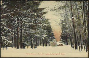 Winter scene in Forest Park, No. 6, Springfield, Mass.