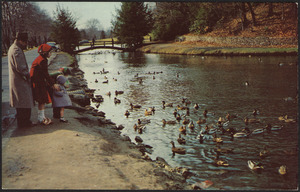 Forest Park, Porter Lake, Springfield, Massachusetts