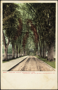 Cemetery Avenue, Springfield, Mass.