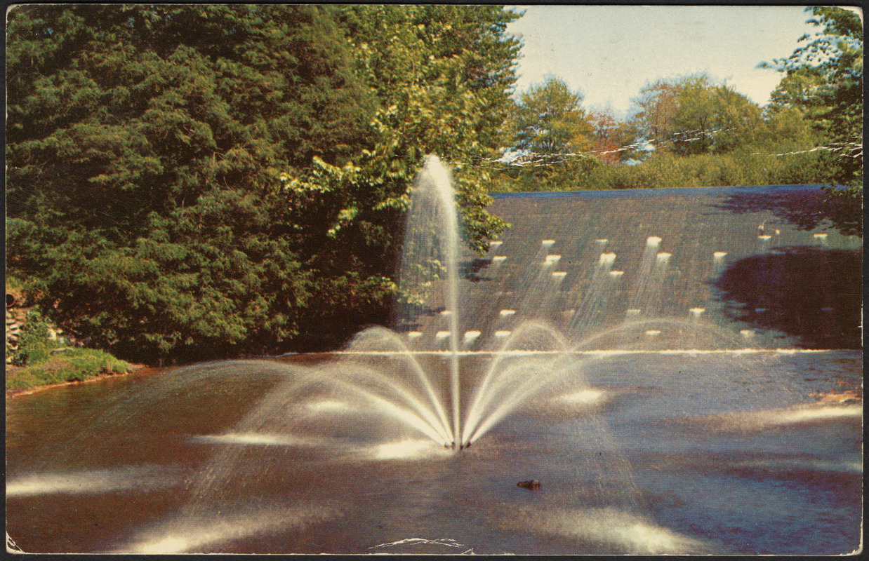 Cascades. Forest Park, Springfield, Mass.