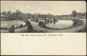 The Lilly Ponds, Forest Park, Springfield, Mass.