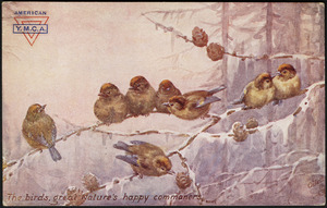 The birds, great Nature's happy commoners.