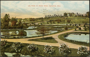 Lily Ponds on Barney Estate, Springfield, Mass.