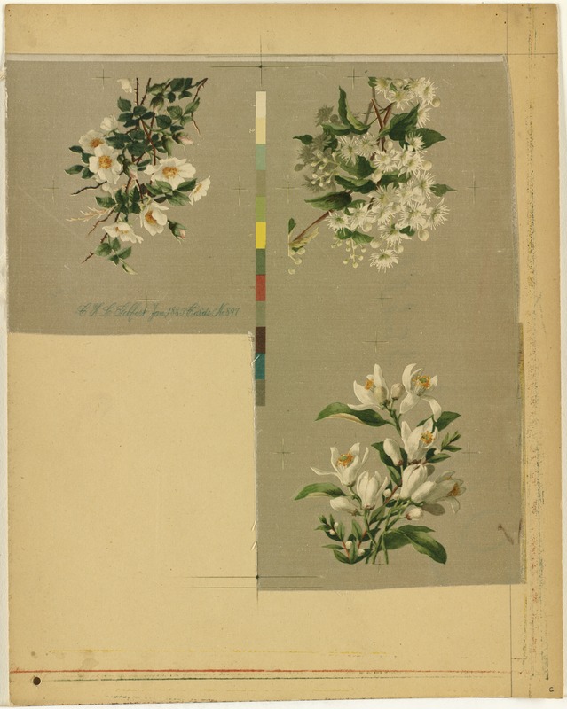 Cards no. 897 [three floral designs]