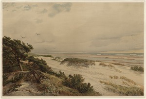 Beach scene