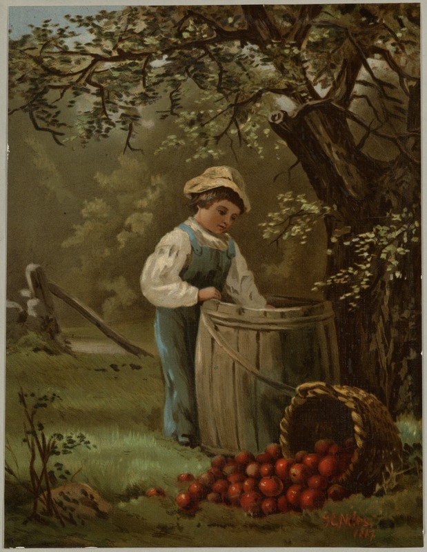 Under the apple tree