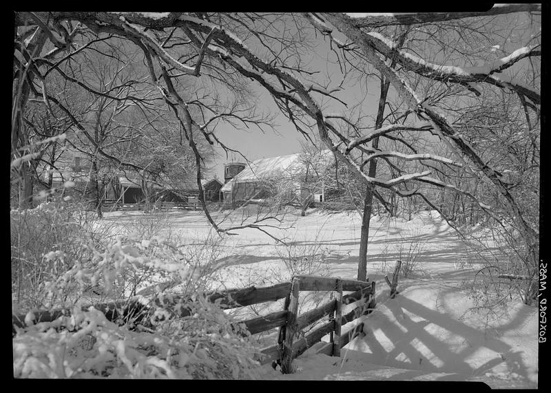 Boxford, Farm group, snow