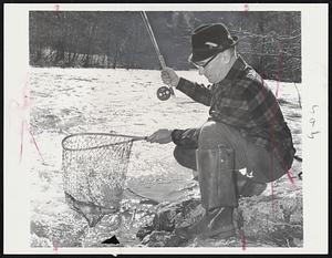 Spring Fishing on a Maine coast brook produces his first trout of the season for H-T columnist Bob Elliot, shown above looking over flies and lifting out a hooked fish.