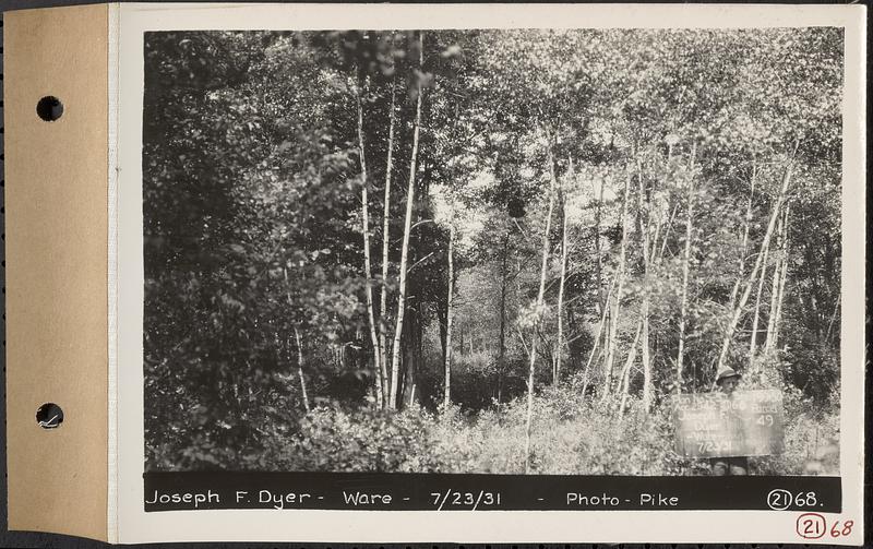 Contract No. 21, Portion of Ware-Belchertown Highway, Ware and Belchertown, land of Joseph F. Dyer, Plan No. S-5 Ware, Mass., Jul. 23, 1931