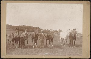 George Dickinson with horses