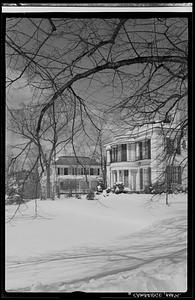 Houses in snow, Cambridge