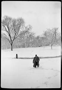 Maude & John Public Garden snow pictures
