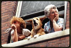 Boston - N. End 1981: 2 women and a dog look out of their window at St. Anthony's procession