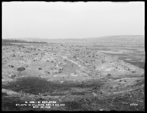 Wachusett Reservoir, stumps in hillside, Section 6, square 203, West Boylston, Mass., Nov. 22, 1902