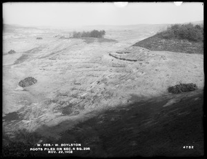 Wachusett Reservoir, roots piled on Section 6, square 236, West Boylston, Mass., Nov. 22, 1902