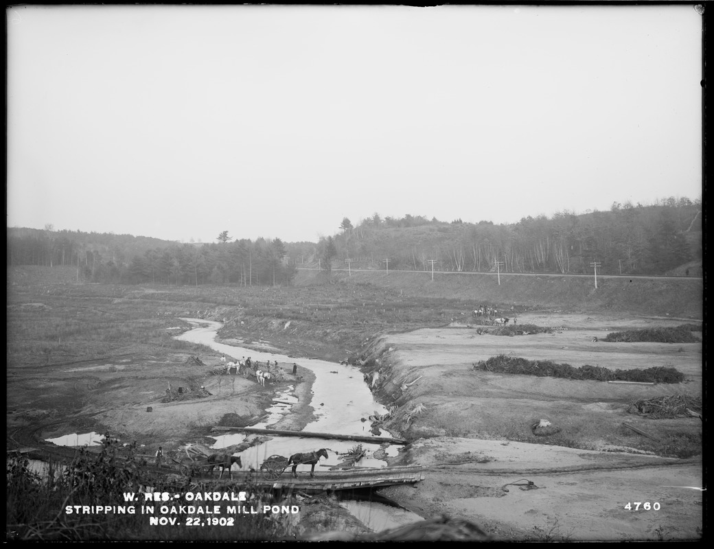 Wachusett Reservoir, stripping in Oakdale mill pond, Oakdale, West Boylston, Mass., Nov. 22, 1902