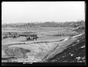 Sudbury Department, improvement of Lake Cochituate, Pegan Brook Meadow, Natick, Mass., Nov. 3, 1902