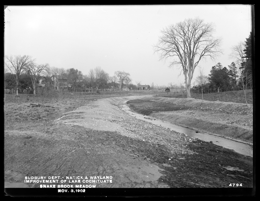 Sudbury Department, improvement of Lake Cochituate, Snake Brook Meadow, Natick; Wayland, Mass., Nov. 3, 1902