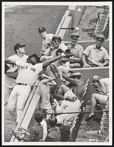Heads Up - Fans cover their heads as George Scott and Mike Andrews reach unsuccessfully for pop fly in yesterday's first game at Fenway Park.