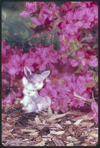Figurine of rabbit in front of flowers