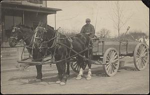 Man driving horse-drawn wagon