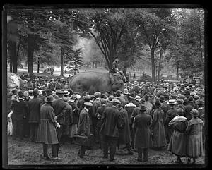 A man riding an elephant in a crowd of people