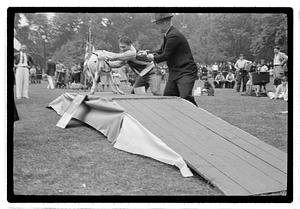 Boston Park Department W.P.A. Recreation Event